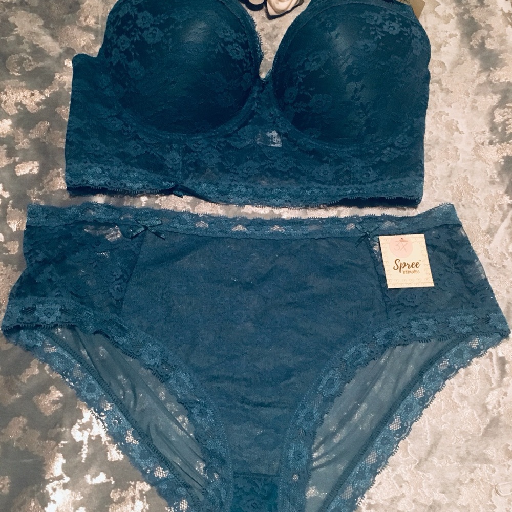 Plus Size Bra Set - Size 40D/3X
